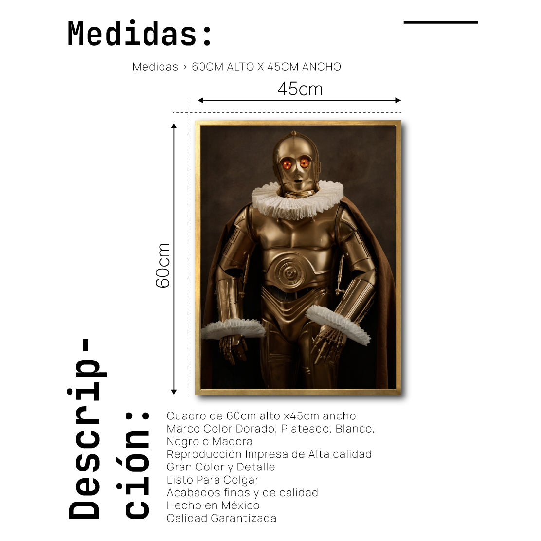 Cuadro Decorativo Personajes Época 004 Star Wars C3PO