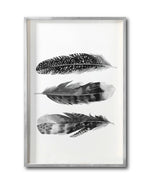 Cargar imagen en el visor de la galería, Cuadro Decorativo Plumas 004
