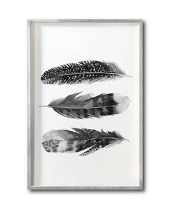 Cuadro Decorativo Plumas 004