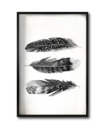 Cargar imagen en el visor de la galería, Cuadro Decorativo Plumas 004
