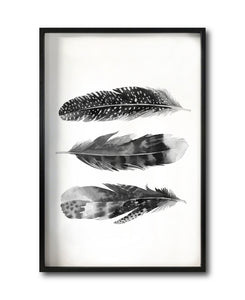 Cuadro Decorativo Plumas 004