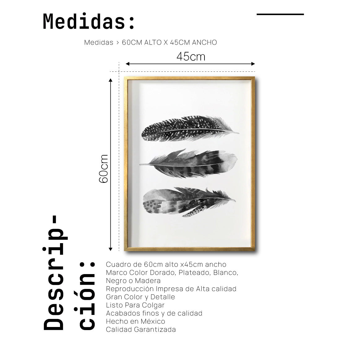 Cuadro Decorativo Plumas 004