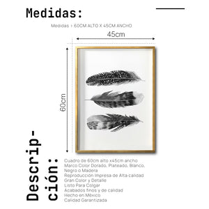 Cuadro Decorativo Plumas 004