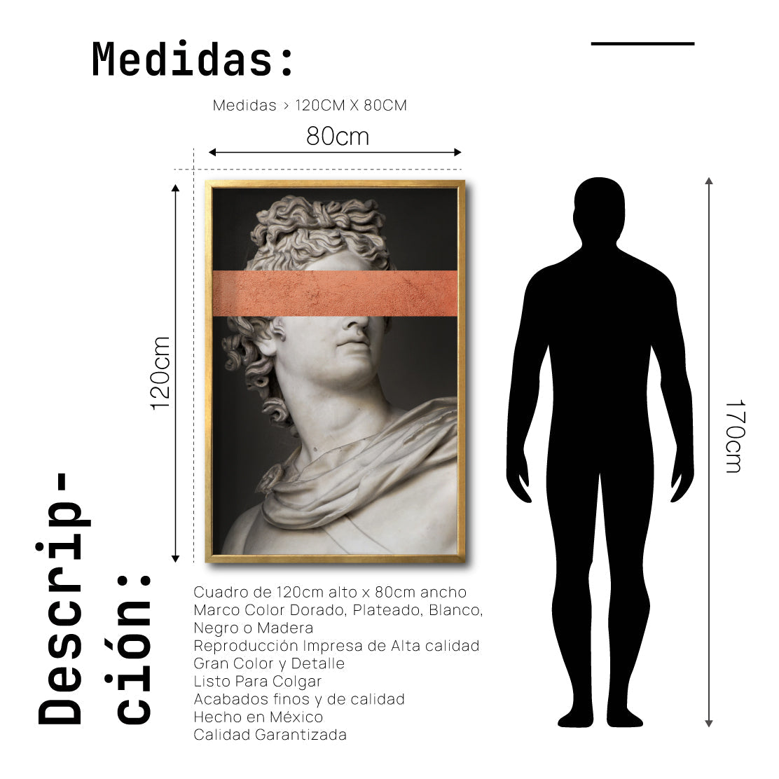 Cuadro Decorativo Esculturas 005 Apolo para Sala
