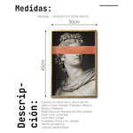 Cargar imagen en el visor de la galería, Cuadro Decorativo Esculturas 005 Apolo para Sala
