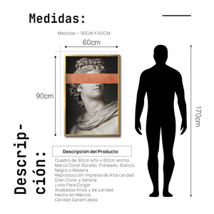 Cuadro Decorativo Esculturas 005 Apolo para Sala
