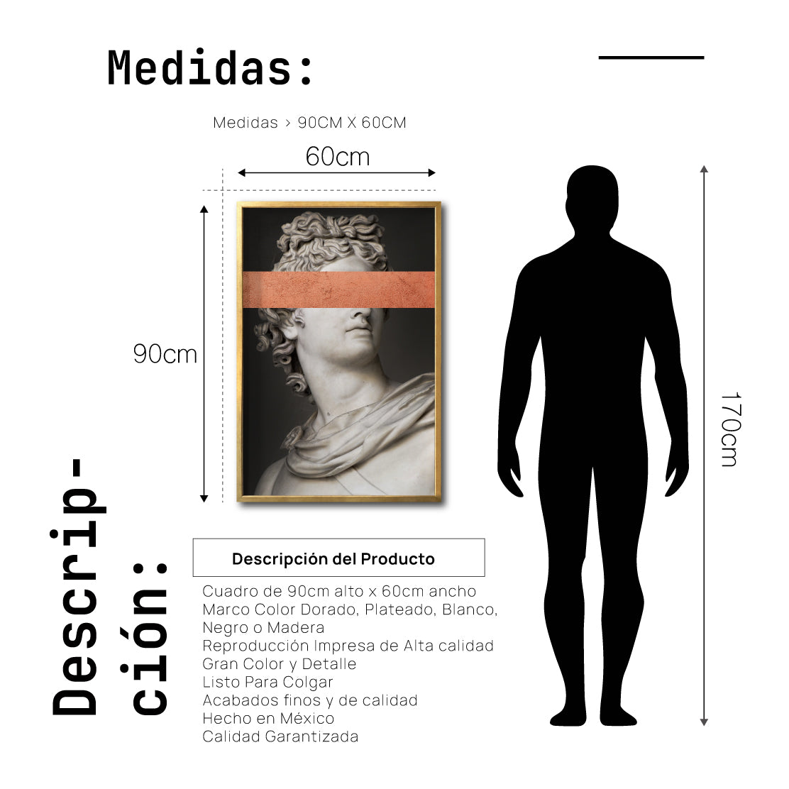 Cuadro Decorativo Esculturas 005 Apolo