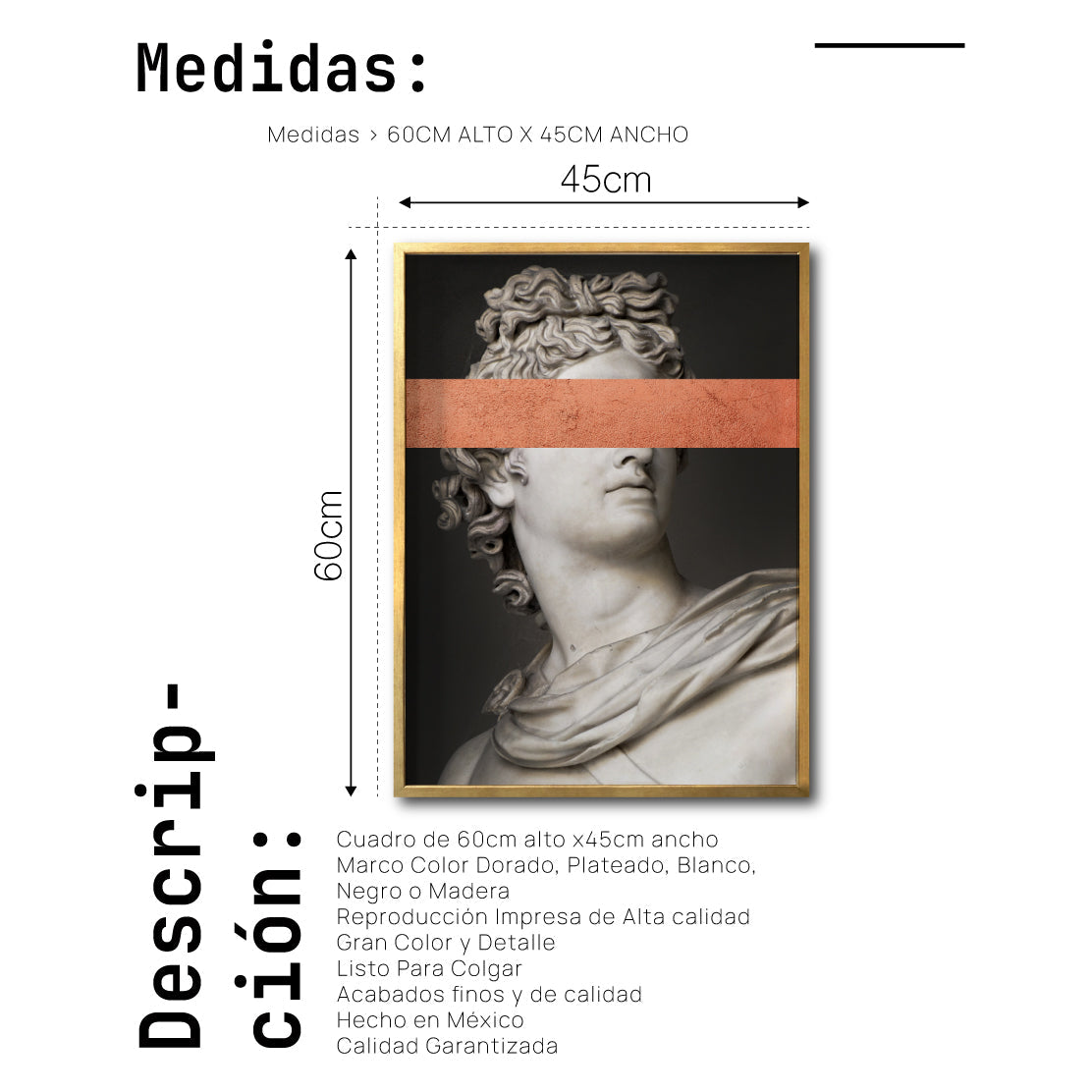 Cuadro Decorativo Esculturas 005 Apolo para Sala