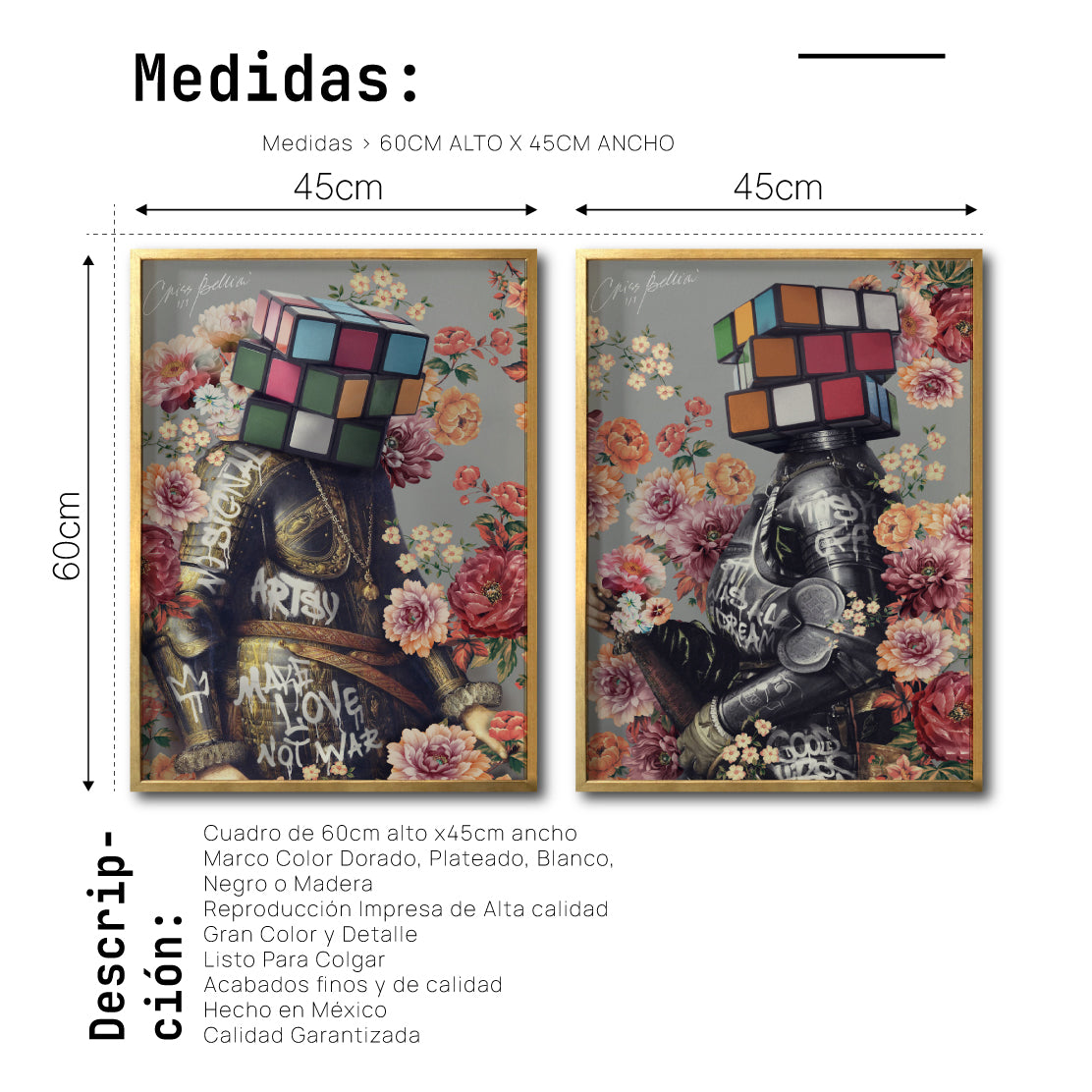 Set 2 Cuadros Decorativos New Classic 005