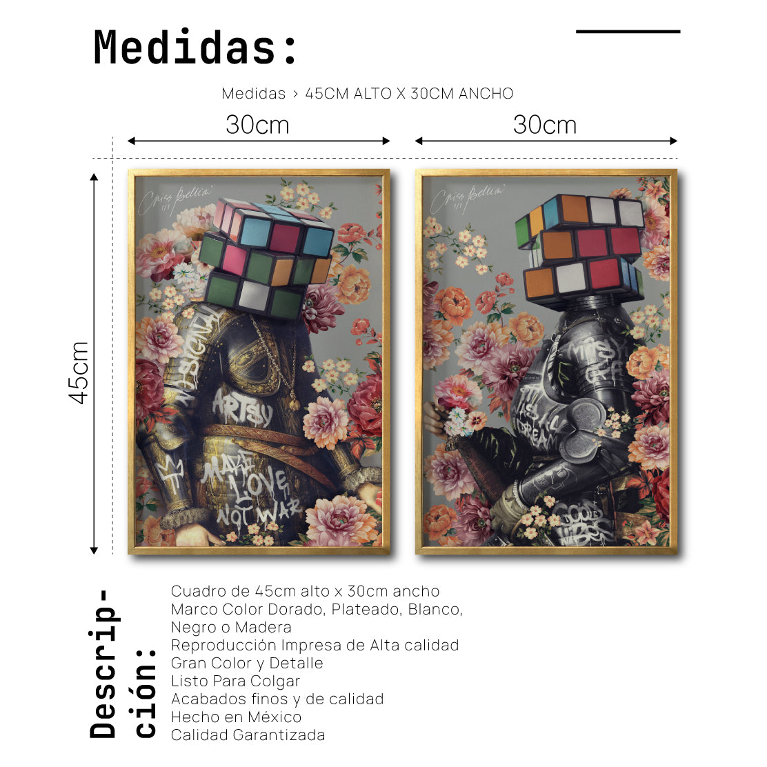Set 2 Cuadros Decorativos New Classic 005