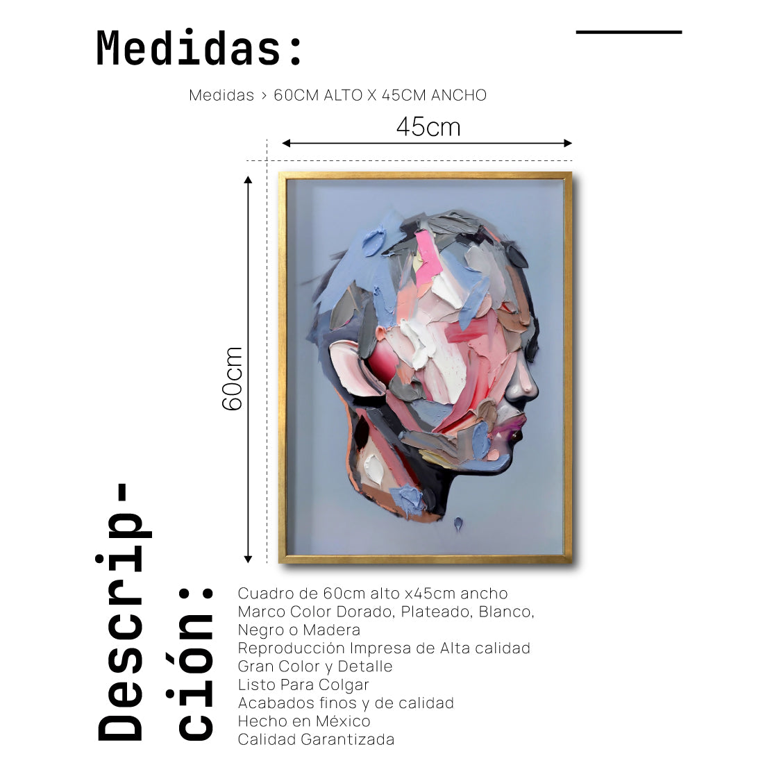 Cuadro Decorativo Abstract Portrait 005