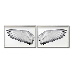 Set Cuadros Decorativos Alas 007