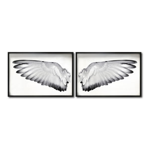 Set Cuadros Decorativos Alas 007