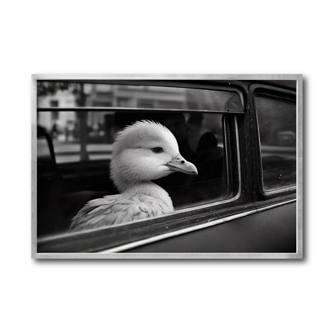 Cuadro Decorativo Animals Car Window 005