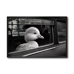 Cuadro Decorativo Animals Car Window 005