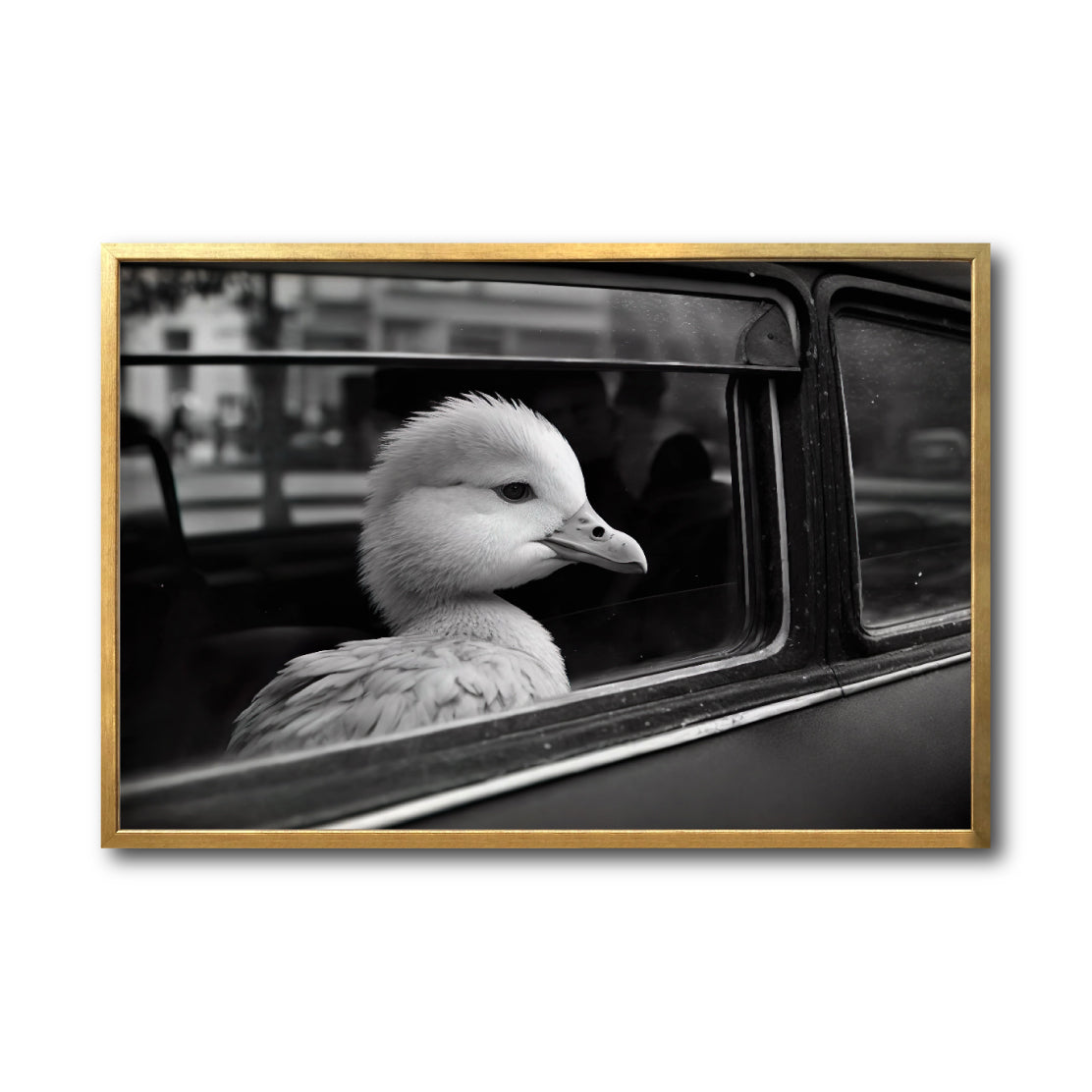 Cuadro Decorativo Animals Car Window 005