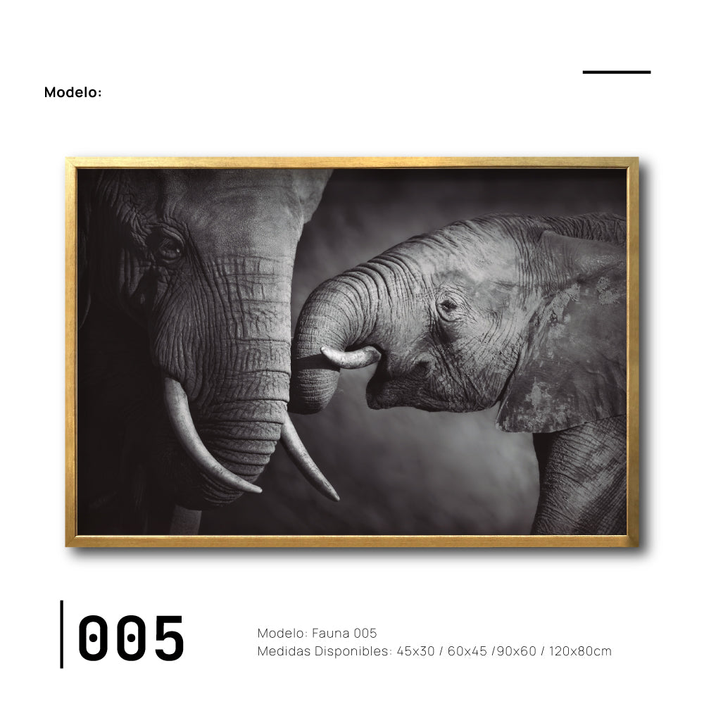 Compra cuadros decorativos Canvas Fauna elefante para tu comedor Decoración de interiores. Interiorismo. galeria314. 005