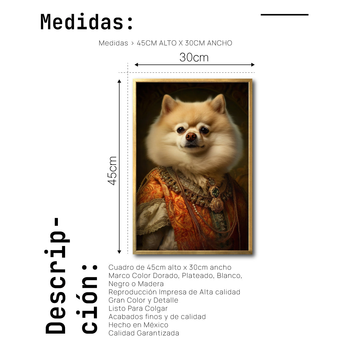 Cuadro Decorativo Perros Epoca 005 - Pomerania Aristocrata