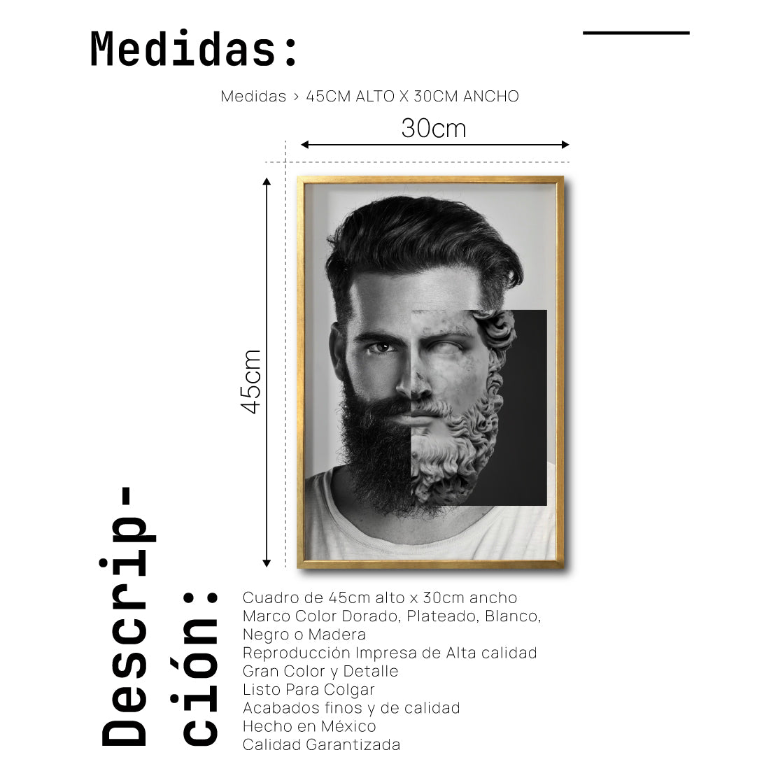 Cuadro Decorativo Rostros 005 Hércules