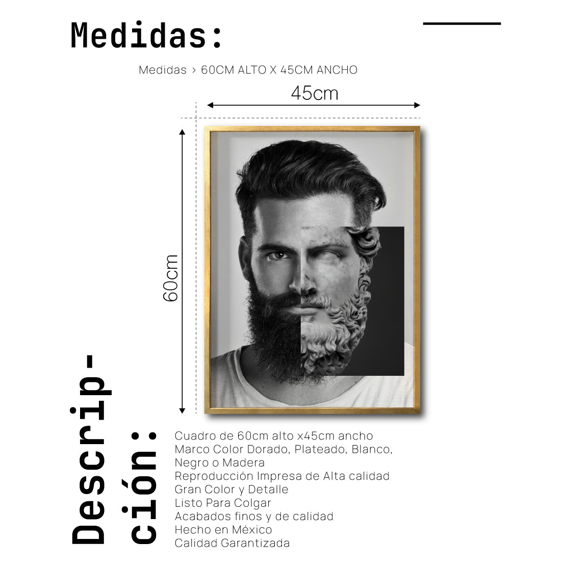 Cuadro Decorativo Rostros 005 Hércules