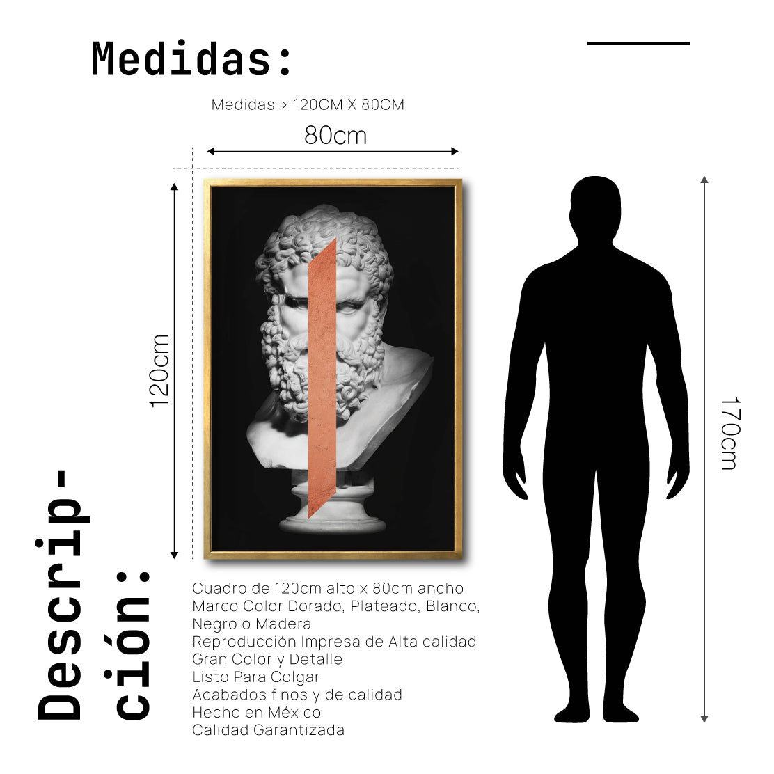 Cuadro Decorativo Esculturas 006 Hércules