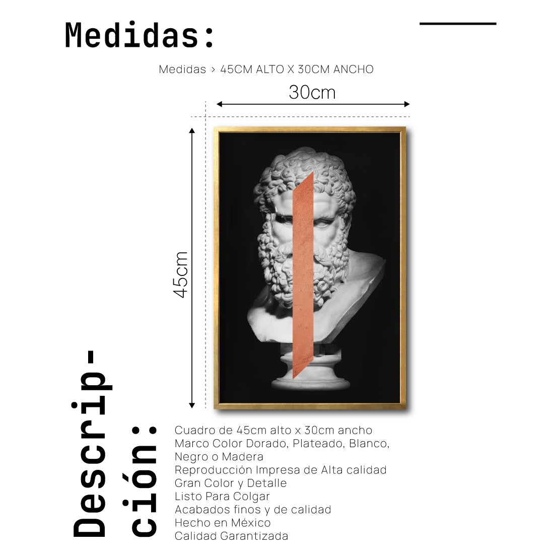 Cuadro Decorativo Esculturas 006 Hércules