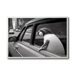 Cargar imagen en el visor de la galería, Cuadro Decorativo Animals Car Window 006
