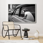 Cargar imagen en el visor de la galería, Compra cuadros decorativos Canvas Animals Car window para tu comedor. Animales Clásicos, moderno, Blanco y Negro. Pingüino.
