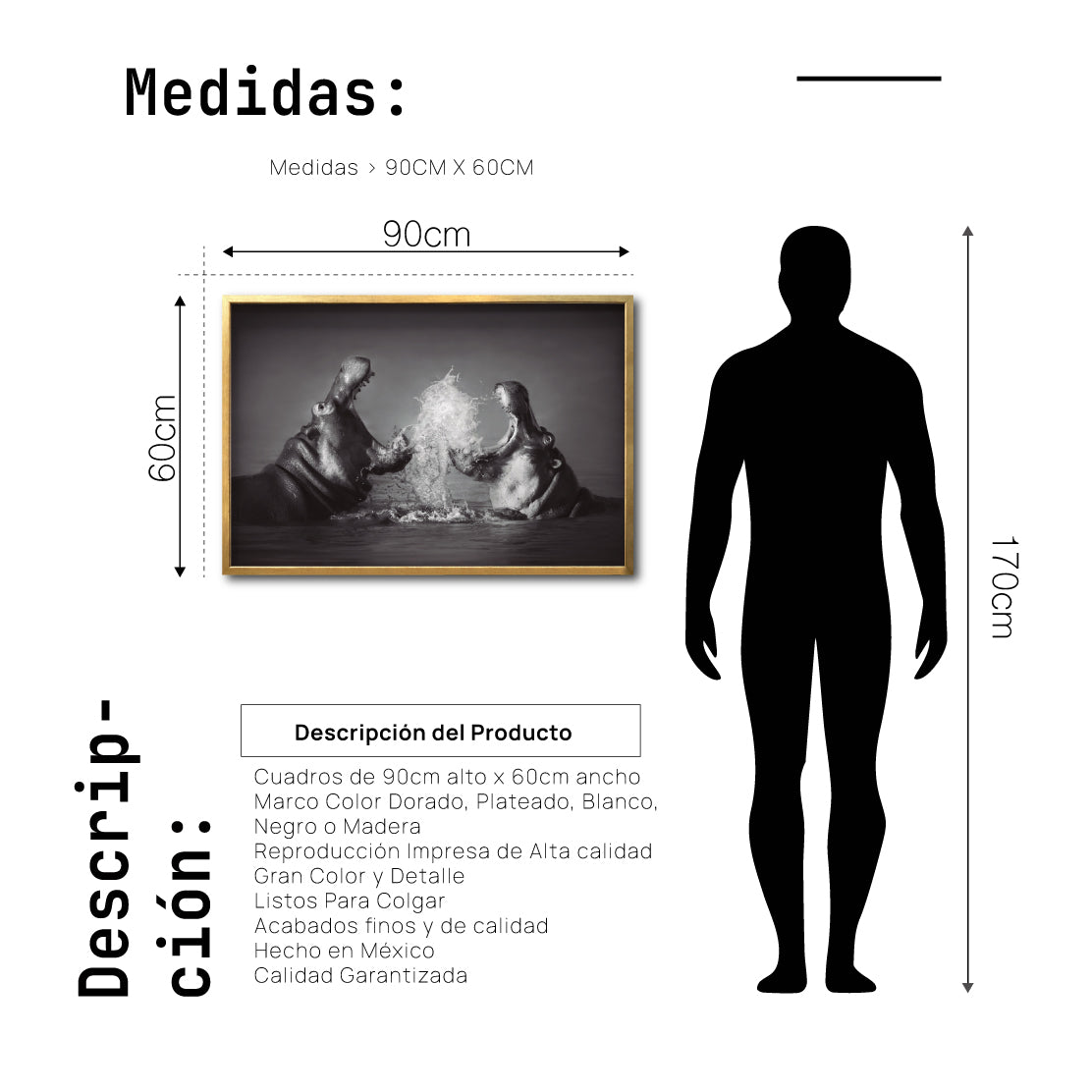 Cuadro Decorativo Fauna 007 - Hipopótamos Blanco y Negro