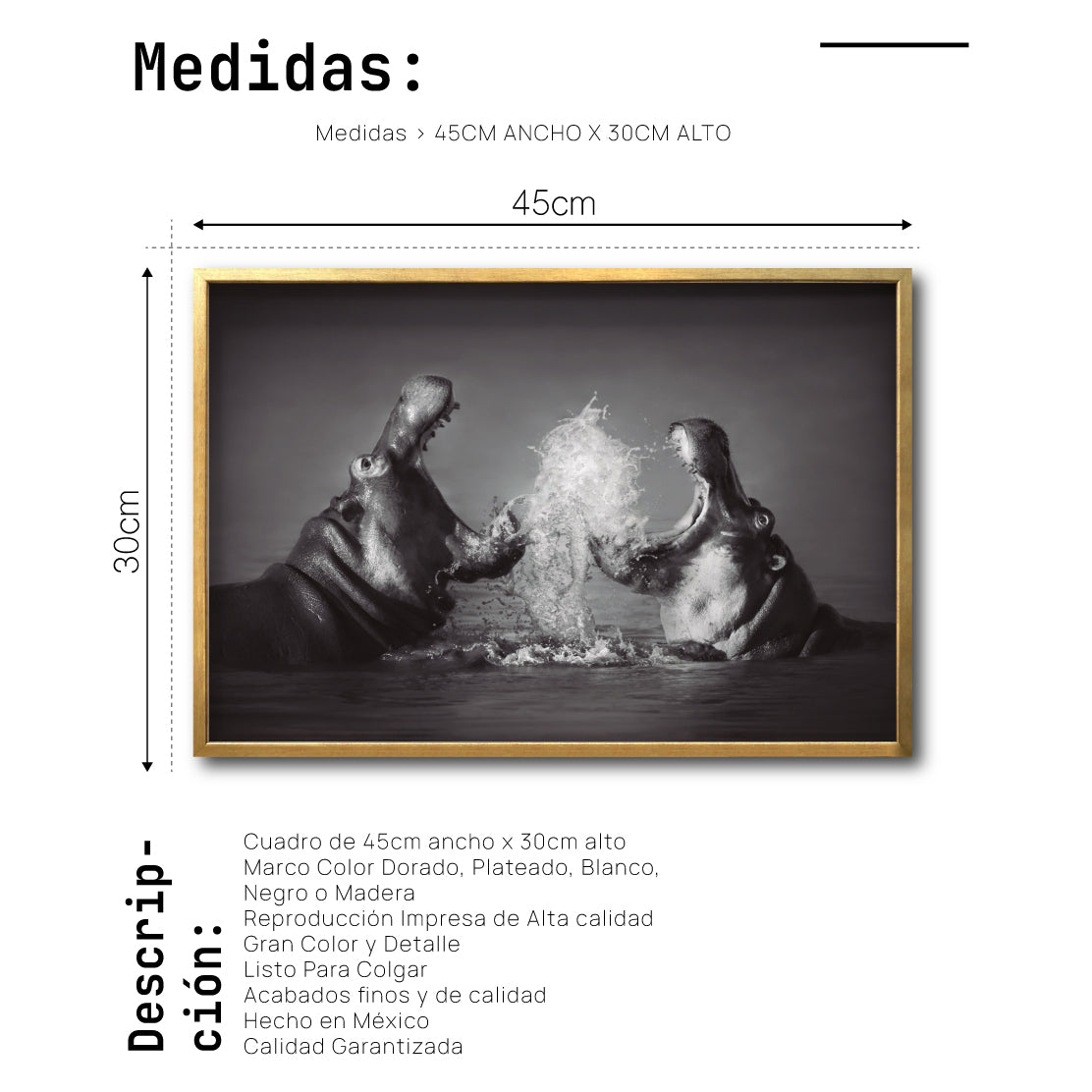 Cuadro Decorativo Fauna 007 - Hipopótamos Blanco y Negro