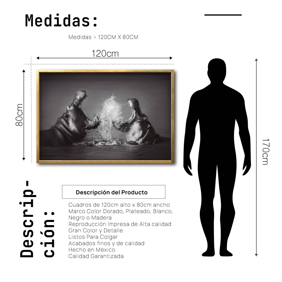Cuadro Decorativo Fauna 007 - Hipopótamos Blanco y Negro