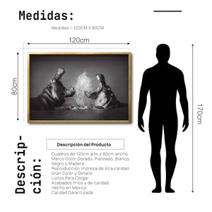 Cuadro Decorativo Fauna 007 - Hipopótamos Blanco y Negro