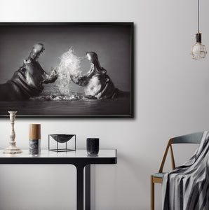 Cuadro Decorativo Fauna 007 - Hipopótamos Blanco y Negro