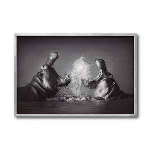 Cuadro Decorativo Fauna 007 - Hipopótamos Blanco y Negro