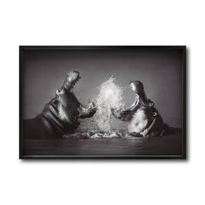 Cuadro Decorativo Fauna 007 - Hipopótamos Blanco y Negro