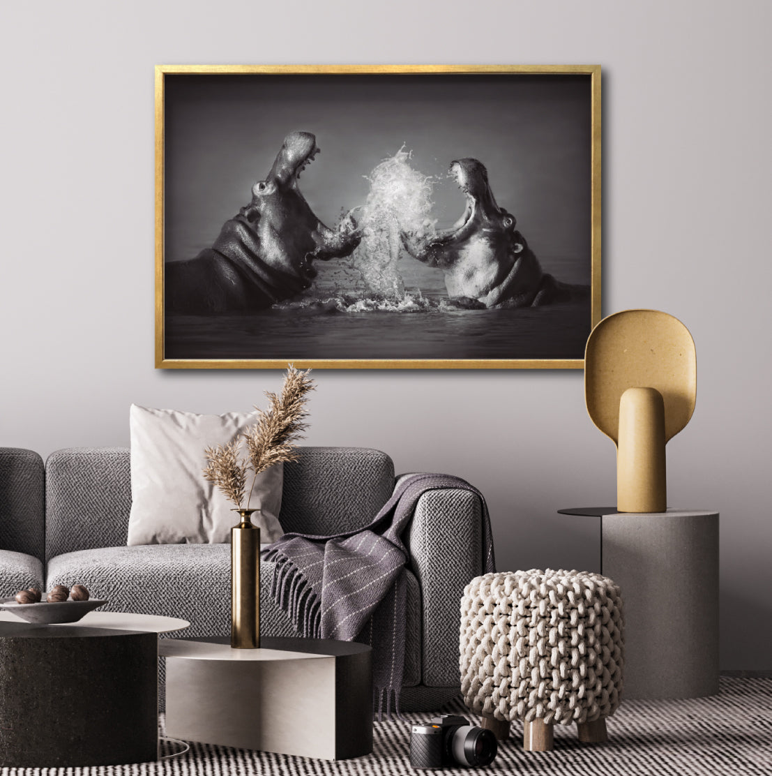 Cuadro Decorativo Fauna 007 - Hipopótamos Blanco y Negro