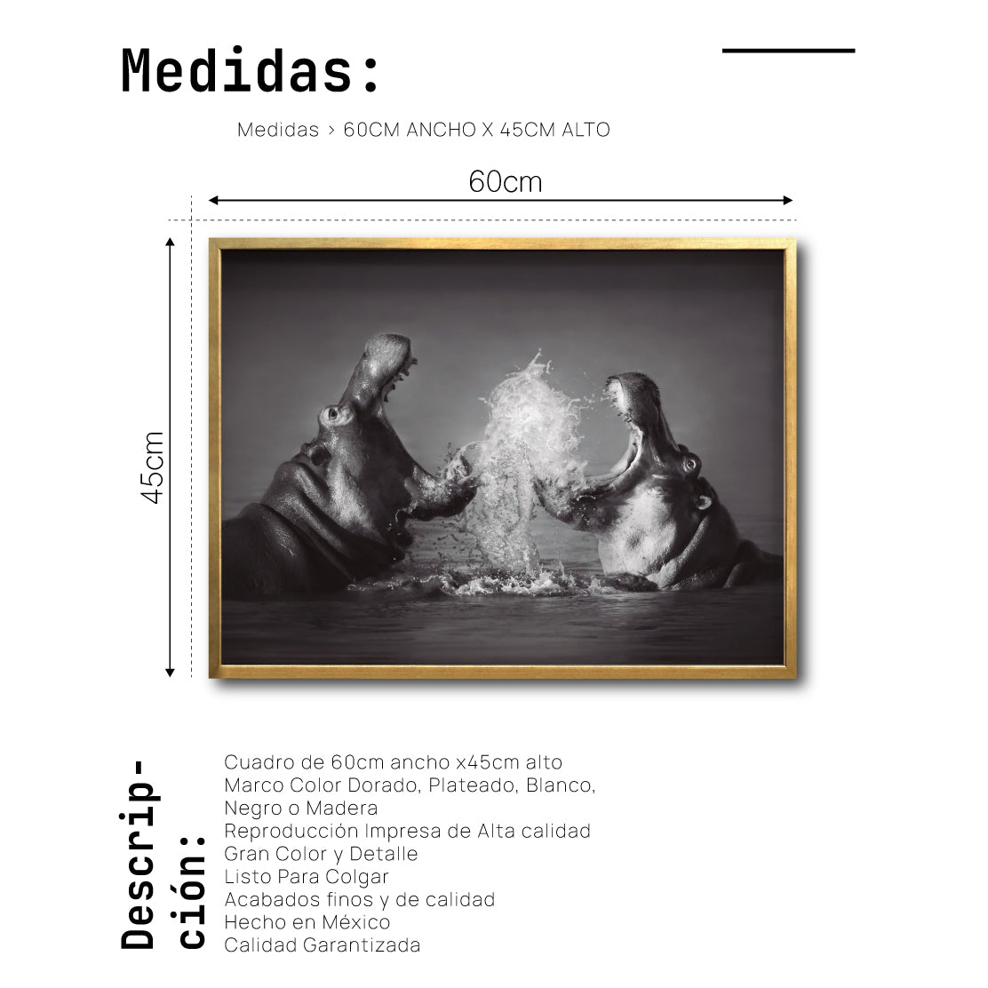 Cuadro Decorativo Fauna 007 - Hipopótamos Blanco y Negro