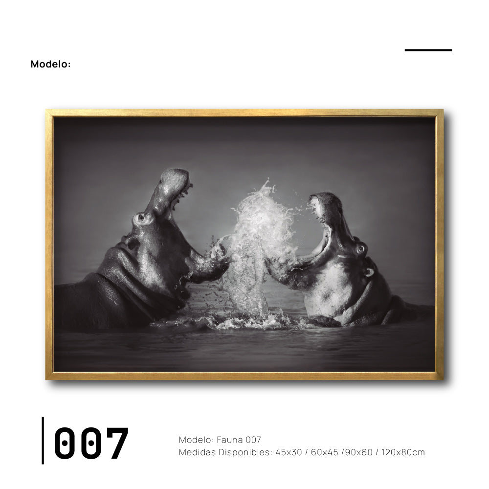 Cuadro Decorativo Fauna 007 - Hipopótamos Blanco y Negro