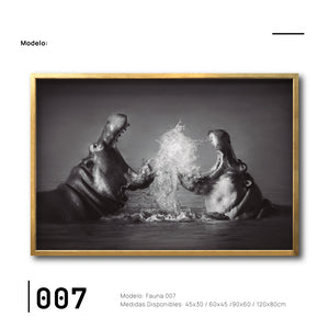 Cuadro Decorativo Fauna 007 - Hipopótamos Blanco y Negro