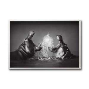 Cuadro Decorativo Fauna 007 - Hipopótamos Blanco y Negro