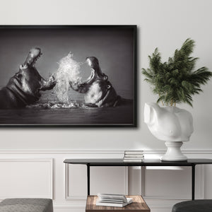 Cuadro Decorativo Fauna 007 - Hipopótamos Blanco y Negro