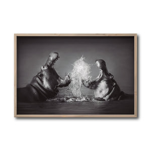 Cuadro Decorativo Fauna 007 - Hipopótamos Blanco y Negro