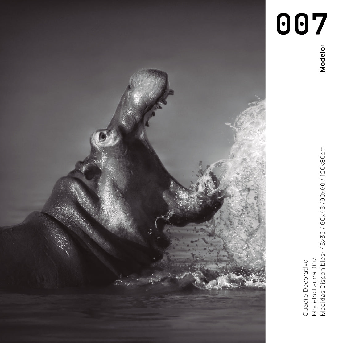 Cuadro Decorativo Fauna 007 - Hipopótamos Blanco y Negro