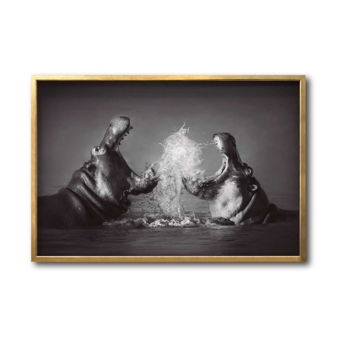 Cuadro Decorativo Fauna 007 - Hipopótamos Blanco y Negro