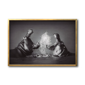 Cuadro Decorativo Fauna 007 - Hipopótamos Blanco y Negro