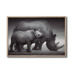Cargar imagen en el visor de la galería, Cuadro Decorativo Fauna 006 - Rinocerontes Blanco y Negro
