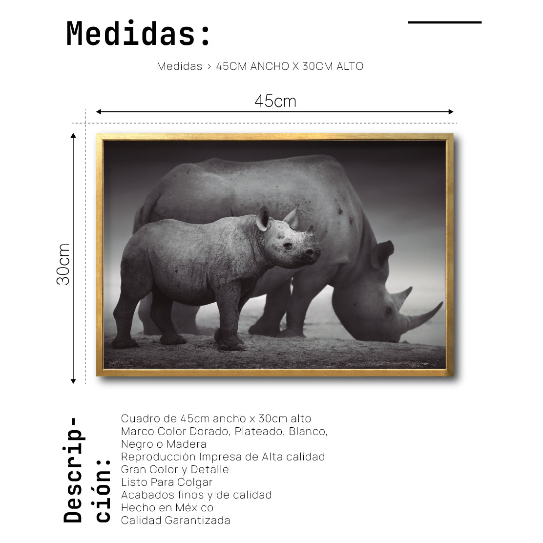 Cuadro Decorativo Fauna 006 - Rinocerontes Blanco y Negro