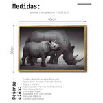 Cargar imagen en el visor de la galería, Cuadro Decorativo Fauna 006 - Rinocerontes Blanco y Negro
