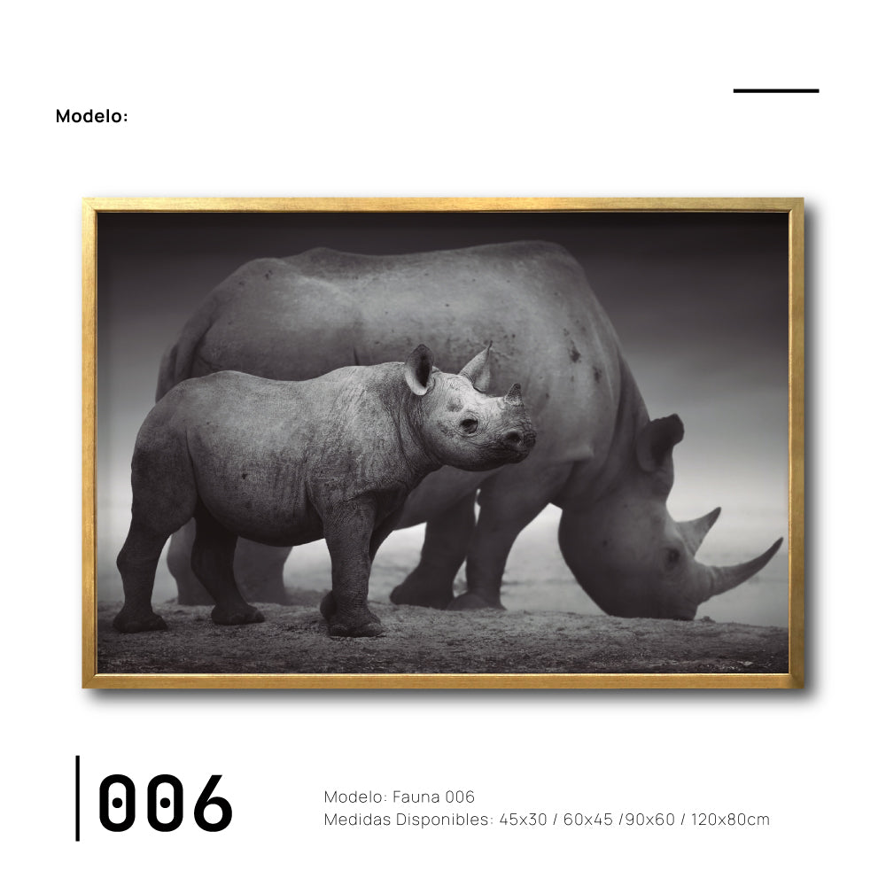 uadros Canvas Fauna Rinoceronte para sala en México.Elegante.Decoración de interiores. Interiorismo.  Galería314. 006