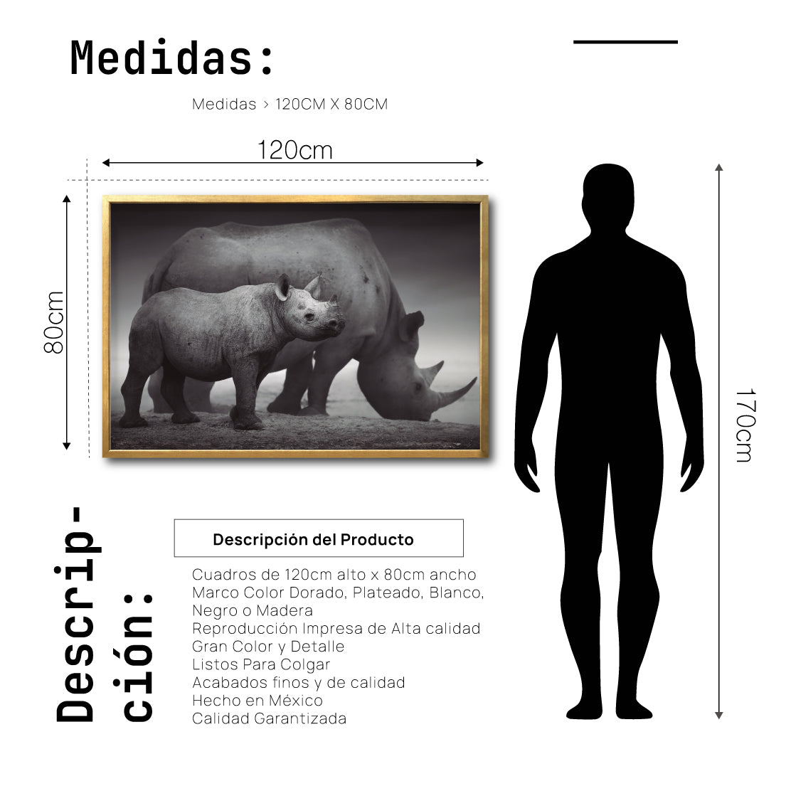 Cuadro Decorativo Fauna 006 - Rinocerontes Blanco y Negro